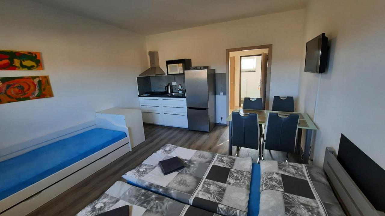 Penzion U Vody Plzeň Dış mekan fotoğraf